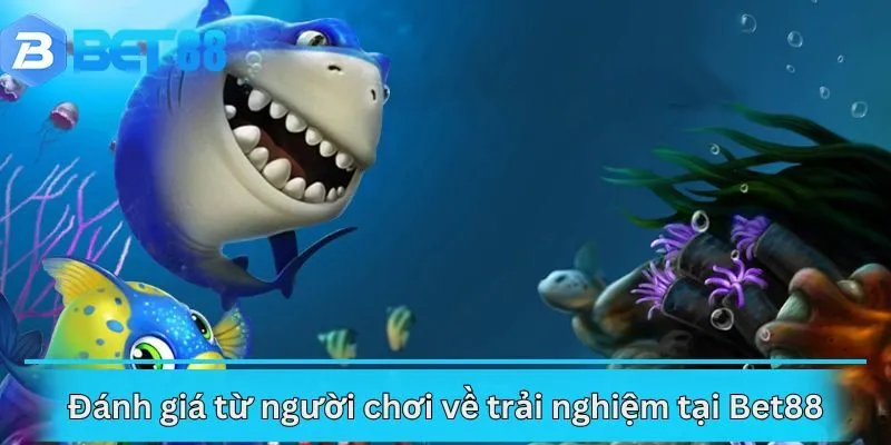 Đánh giá từ người chơi về trải nghiệm tại Bet88
