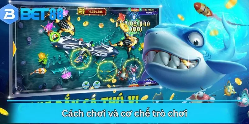 Cách chơi và cơ chế trò chơi