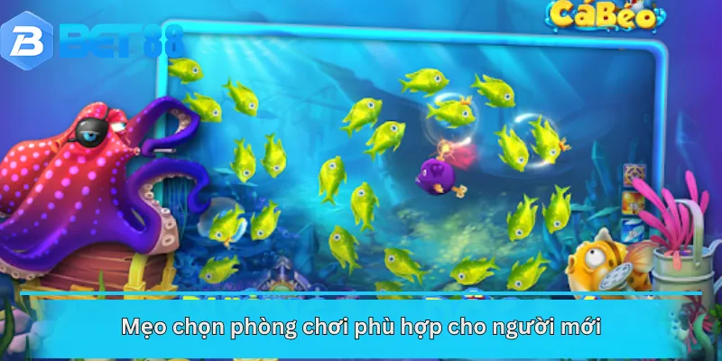 Mẹo chọn phòng chơi phù hợp cho người mới