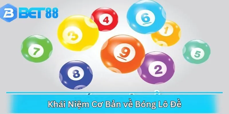 Khái Niệm Cơ Bản về Bóng Lô Đề
