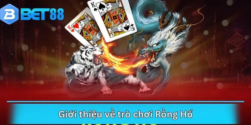 Giới thiệu về trò chơi Rồng Hổ