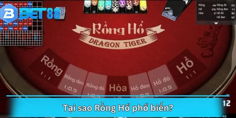 Tại sao Rồng Hổ phổ biến?