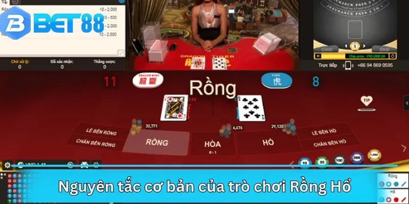 Nguyên tắc cơ bản của trò chơi Rồng Hổ