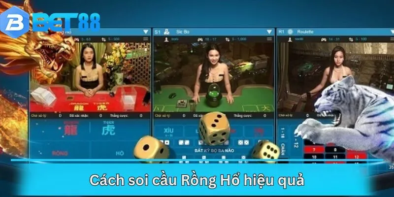 Cách soi cầu Rồng Hổ hiệu quả