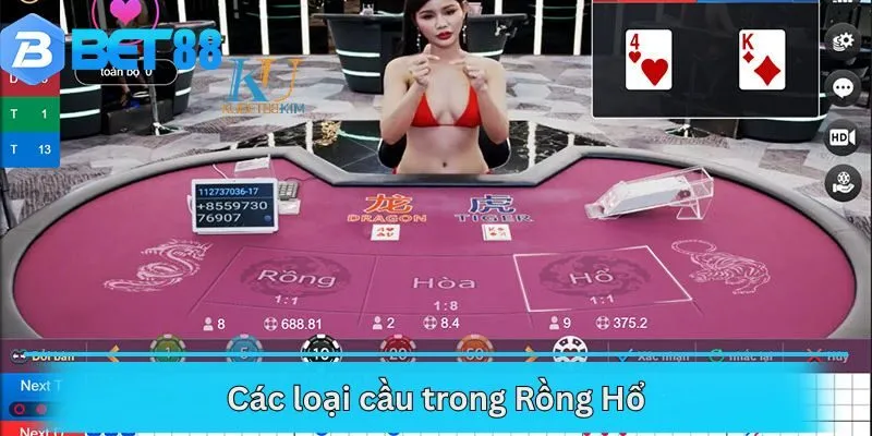 Các loại cầu trong Rồng Hổ