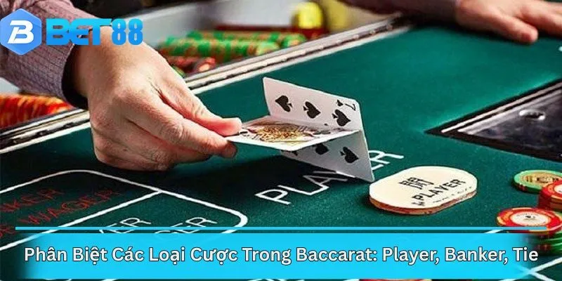 Phân Biệt Các Loại Cược Trong Baccarat: Player, Banker, Tie