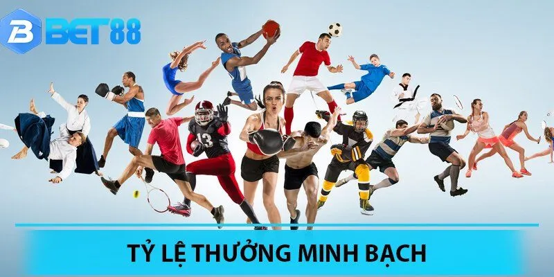 Nhà cái luôn đảm bảo tỷ lệ thưởng cao nhất