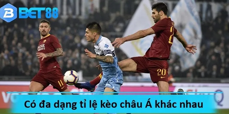 Kèo cá cươc châu Á bao gồm nhiều tỉ lệ kèo khác nhau