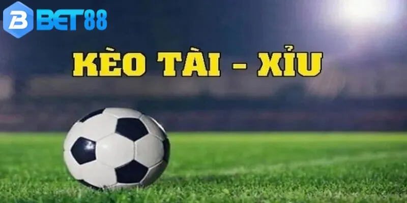 Cược tài xỉu thu hút được các bet thủ dày dặn kinh nghiệm