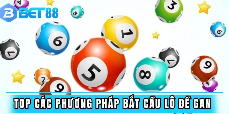 Nên quan sát chi tiết các đầu lô
