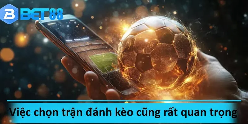 Cần chọn đúng trận đấu để có thể tăng tỷ lệ thắng cược kèo tài xỉu