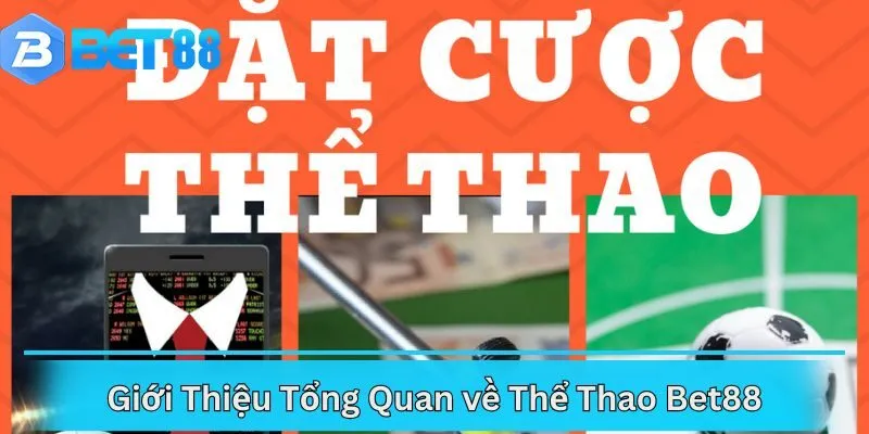 Giới Thiệu Tổng Quan về Thể Thao Bet88