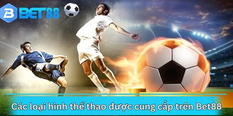 Các loại hình thể thao được cung cấp trên Bet88