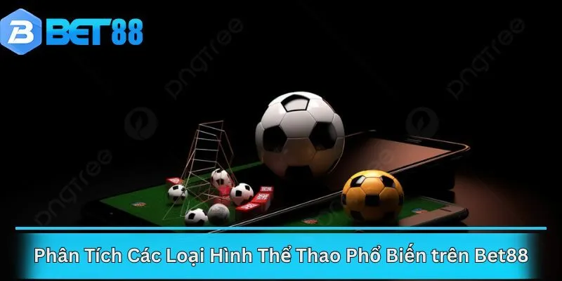 Phân Tích Các Loại Hình Thể Thao Phổ Biến trên Bet88